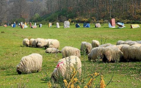 Ecoespazo o Rexo