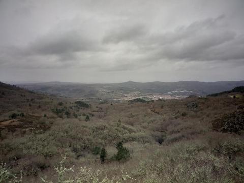 Ruta do Canelar