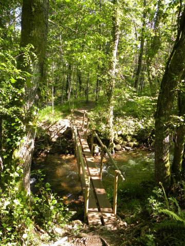 Ruta da Auga