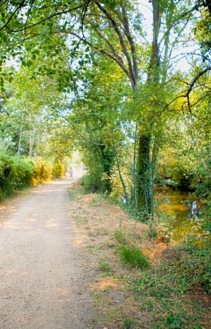 Senda Ecofluvial