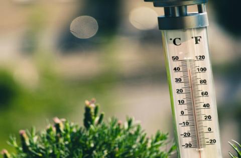 Calor_20260728171602.jpg