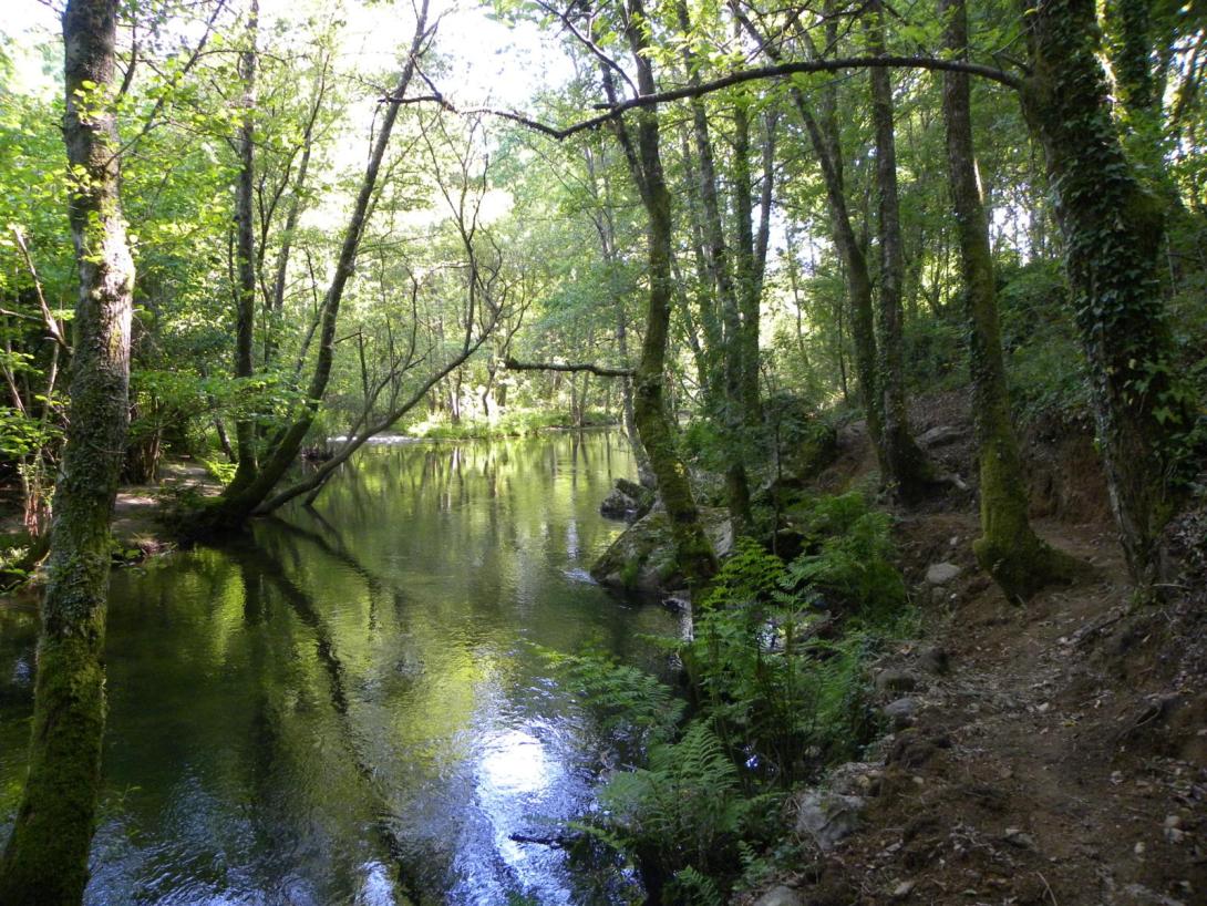 Ruta da Auga